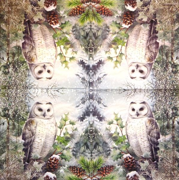 116 Owls - ply - Kalamazoo - CS - 24x24cm